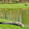Dunes Club